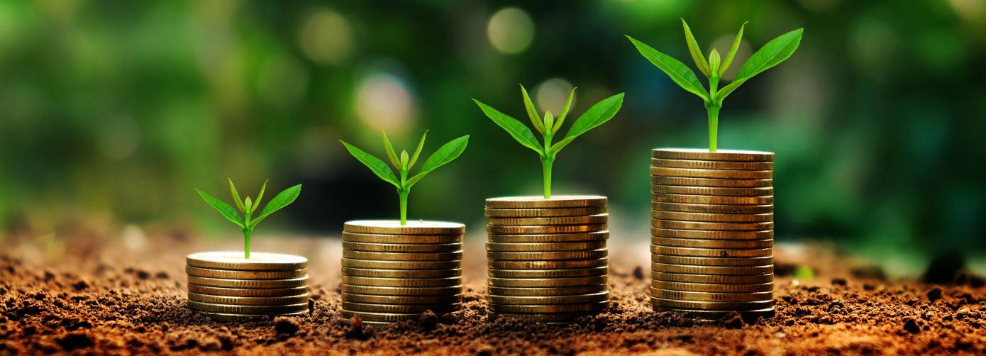 Plants growing out of coin stacks