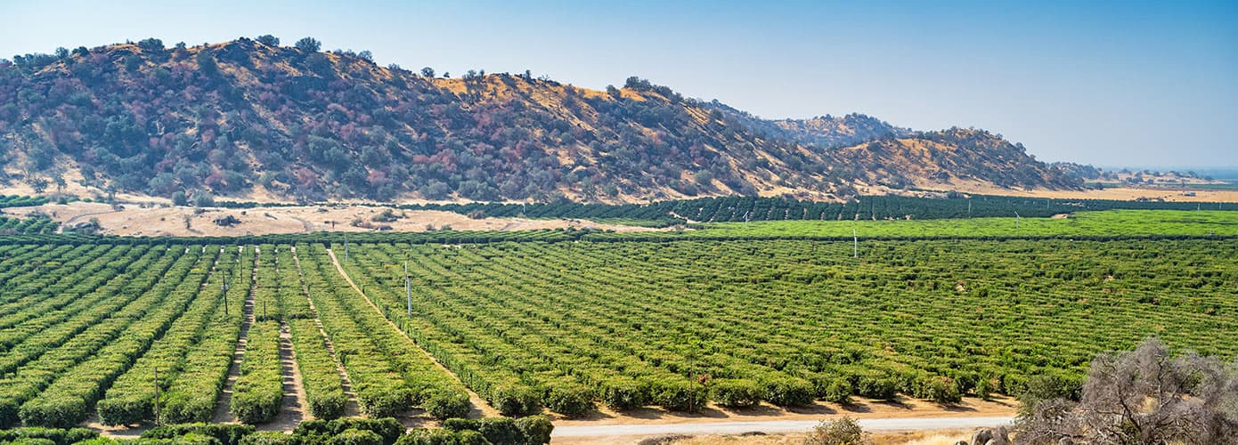 California farm